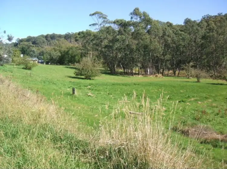 Main view of Homely land listing, 19-21 DOWLING STREET, Bendoc VIC 3888
