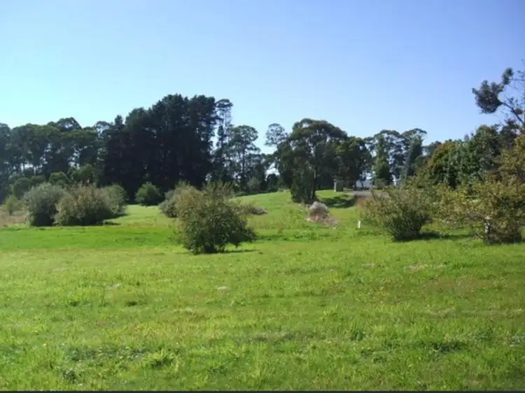Second view of Homely land listing, 19-21 DOWLING STREET, Bendoc VIC 3888