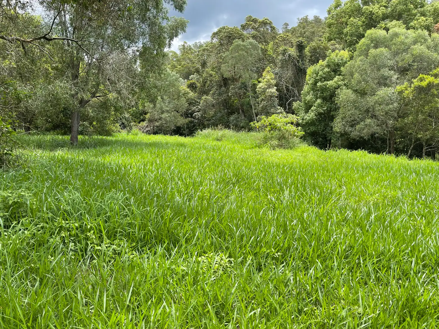 Main view of Homely land listing, 66 Basin Road, Wamuran Basin QLD 4512