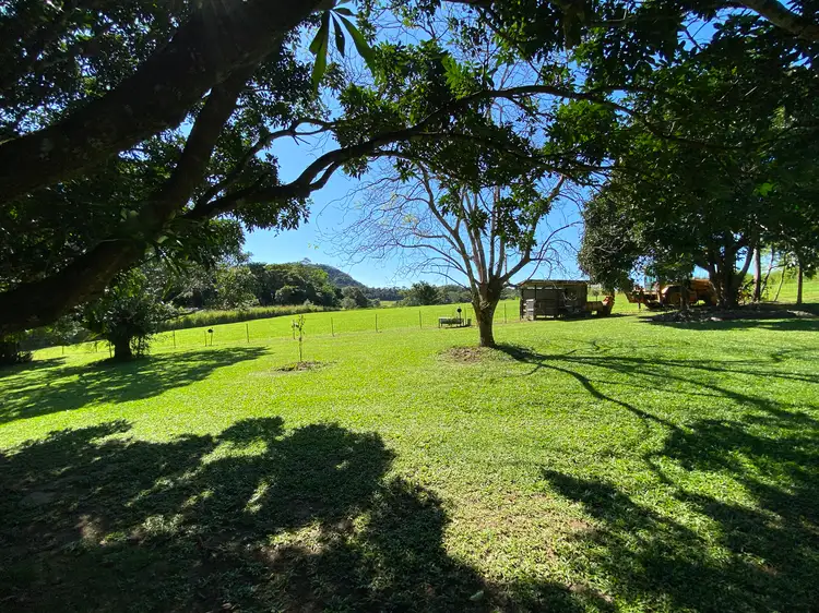 Third view of Homely rural property listing, 4 Nine Mile Road, Julatten QLD 4871