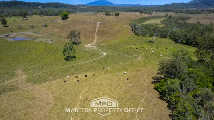Seventh view of Homely rural property listing, 2143 Mossman-Mount Molloy Road, Julatten QLD 4871