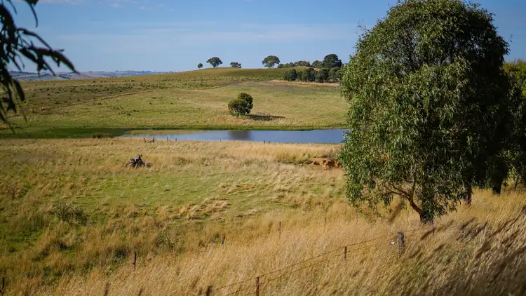 Main view of Homely land listing, 136 Greghamstown Road, Blayney NSW 2799