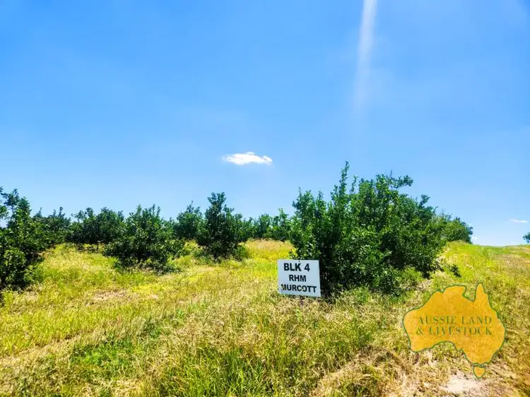 Fifth view of Homely rural property listing, Dykehead Road, Boynewood QLD 4626