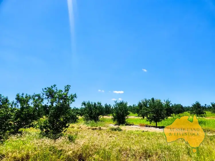 Sixth view of Homely rural property listing, Dykehead Road, Boynewood QLD 4626