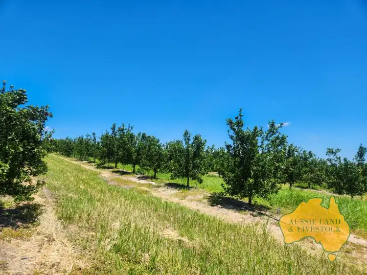 Seventh view of Homely rural property listing, Dykehead Road, Boynewood QLD 4626