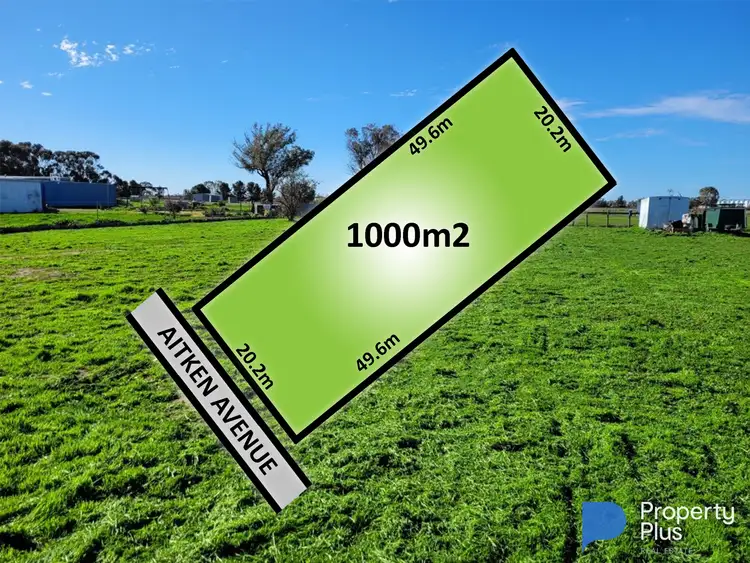 48 Aitken Avenue, Donald VIC 3480