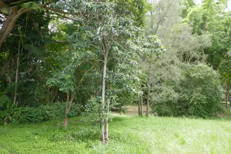 Third view of Homely land listing, 117 Bowen Road, Glass House Mountains QLD 4518