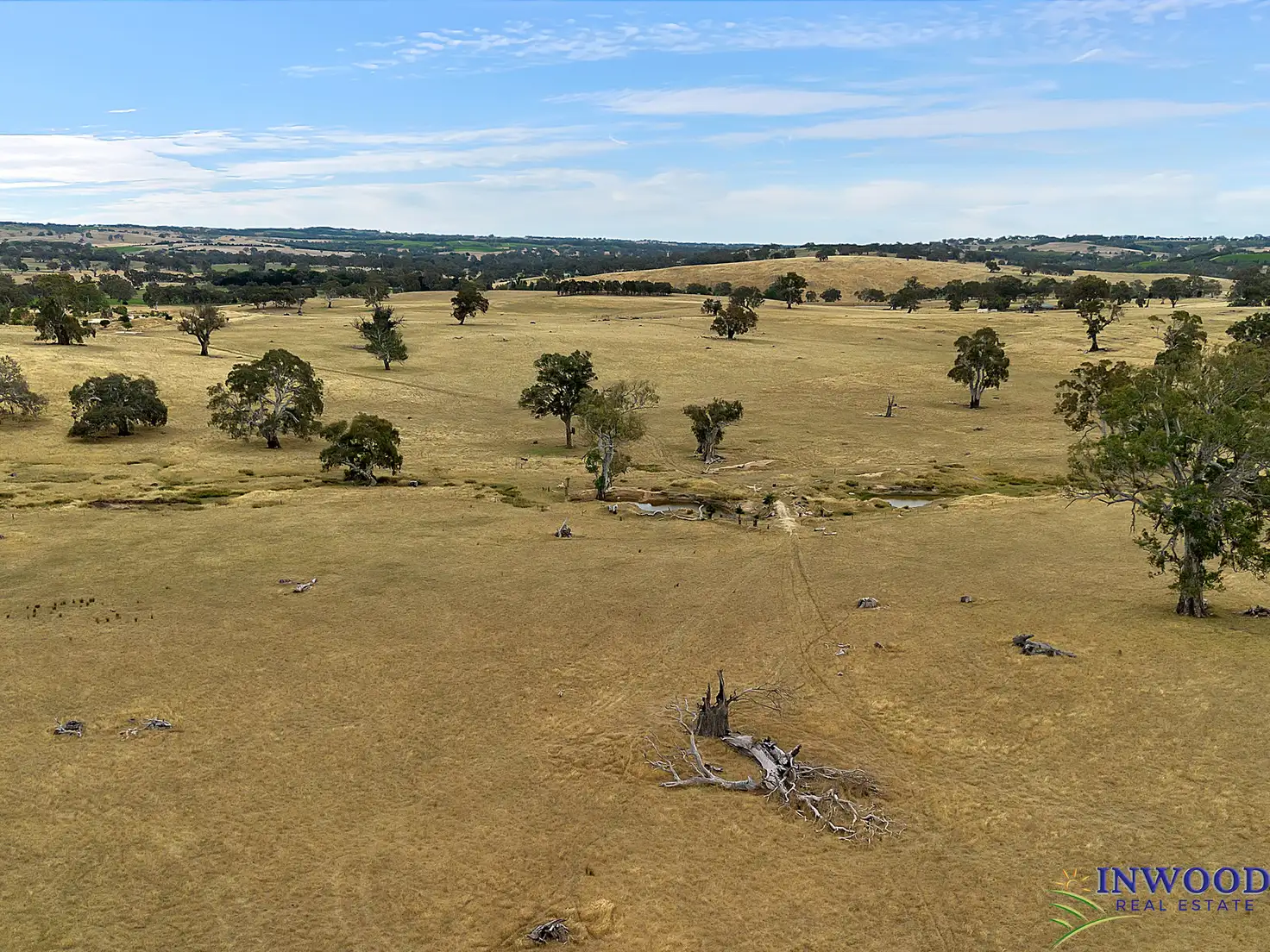 Main view of Homely land listing, 558 Cemetery Road, Eden Valley SA 5235