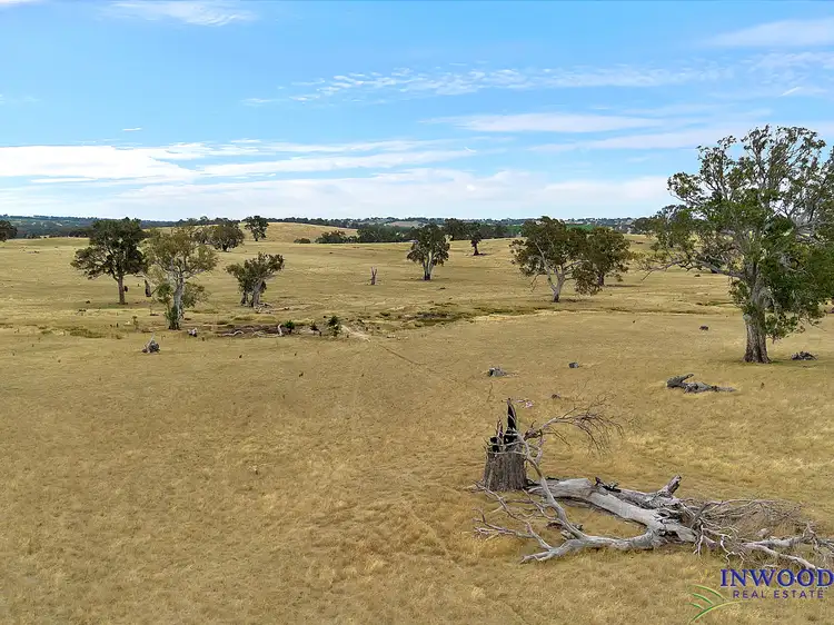 Fifth view of Homely land listing, 558 Cemetery Road, Eden Valley SA 5235