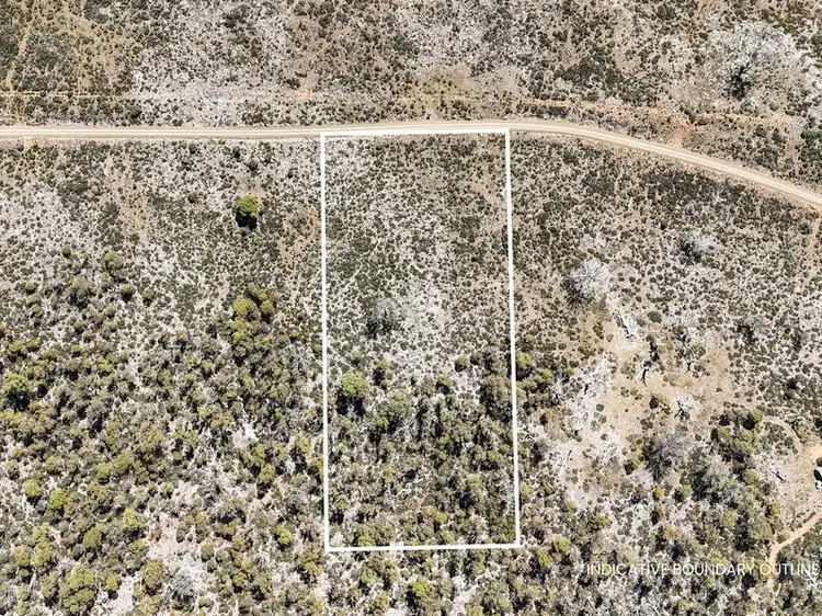 269 Barren Plains Road, Miena TAS 7030