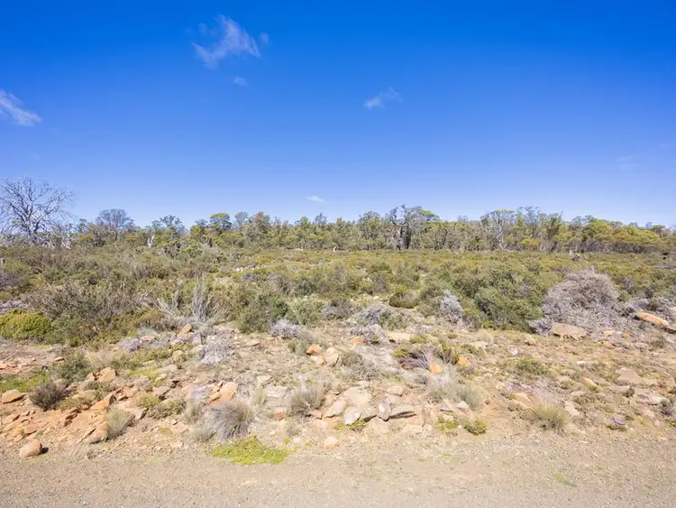 Fourth view of Homely land listing, 269 Barren Plains Road, Miena TAS 7030