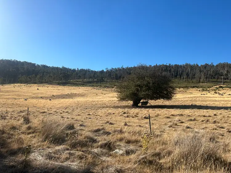 Third view of Homely land listing, Part of 69 & 187 St Peters Terrace, Oatlands TAS 7120