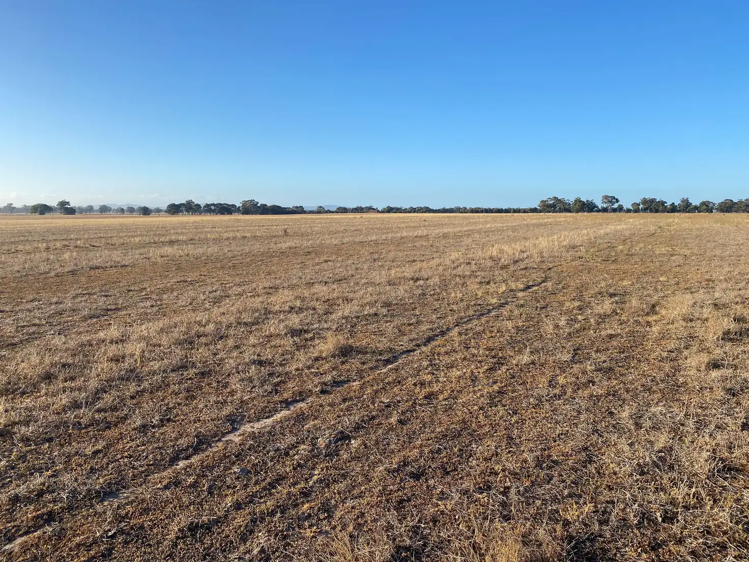 Main view of Homely rural property listing, Cnr Carchap Lane & Natimuk-Hamilton Road, Clear Lake VIC 3409