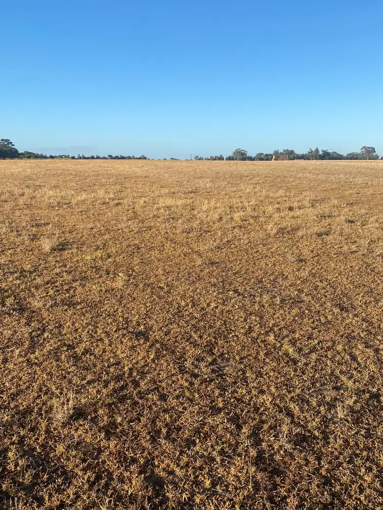 Third view of Homely rural property listing, Cnr Carchap Lane & Natimuk-Hamilton Road, Clear Lake VIC 3409