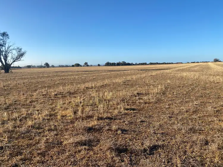 Fourth view of Homely rural property listing, Cnr Carchap Lane & Natimuk-Hamilton Road, Clear Lake VIC 3409