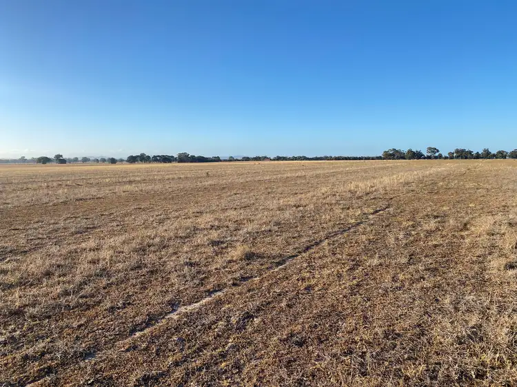 Fifth view of Homely rural property listing, Cnr Carchap Lane & Natimuk-Hamilton Road, Clear Lake VIC 3409