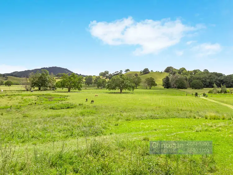 Fourth view of Homely rural property listing, 371 The Pocket Road, The Pocket NSW 2483