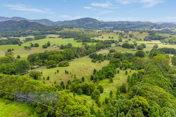 Sixth view of Homely rural property listing, 371 The Pocket Road, The Pocket NSW 2483