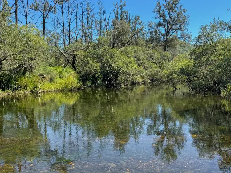 4137 Nowendoc Road, Caffreys Flat NSW 2424