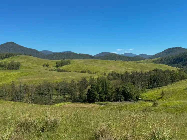 Second view of Homely rural property listing, 4137 Nowendoc Road, Caffreys Flat NSW 2424