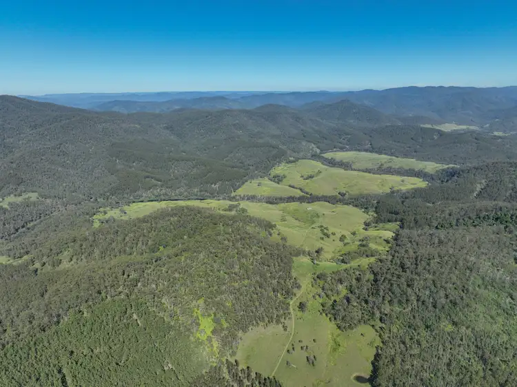 Fourth view of Homely rural property listing, 4137 Nowendoc Road, Caffreys Flat NSW 2424