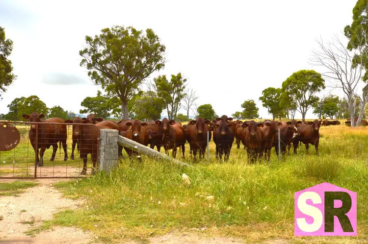 Third view of Homely rural property listing, 176 Jacksons Road, Guyra NSW 2365