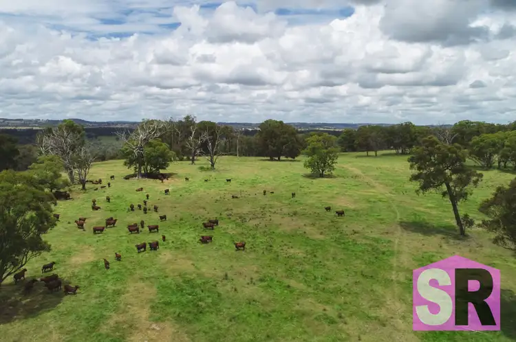 Fifth view of Homely rural property listing, 176 Jacksons Road, Guyra NSW 2365