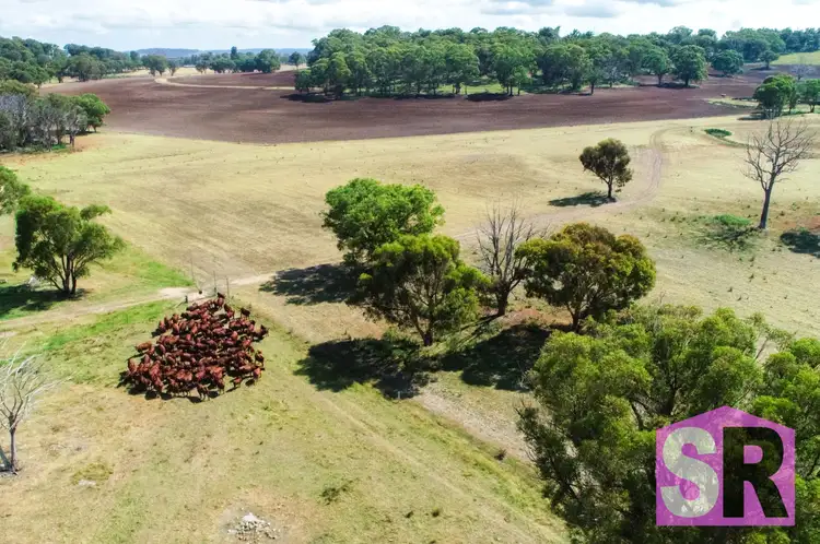 Sixth view of Homely rural property listing, 176 Jacksons Road, Guyra NSW 2365