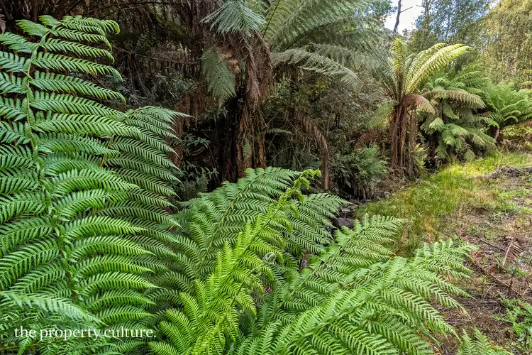 Second view of Homely land listing, 126 New Road, Franklin TAS 7113