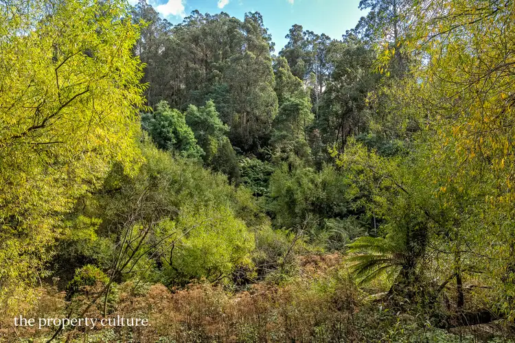 Fourth view of Homely land listing, 126 New Road, Franklin TAS 7113