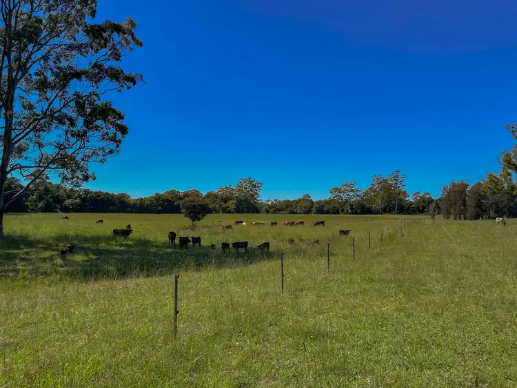 Fifth view of Homely rural property listing, 57 Pipeclay Creek Road, Nabiac NSW 2312