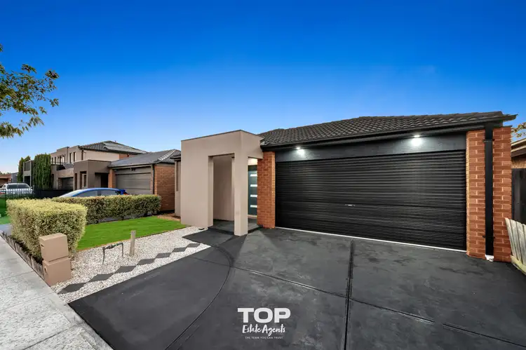 Third view of Homely house listing, 13 Pharaoh Drive, Cranbourne VIC 3977