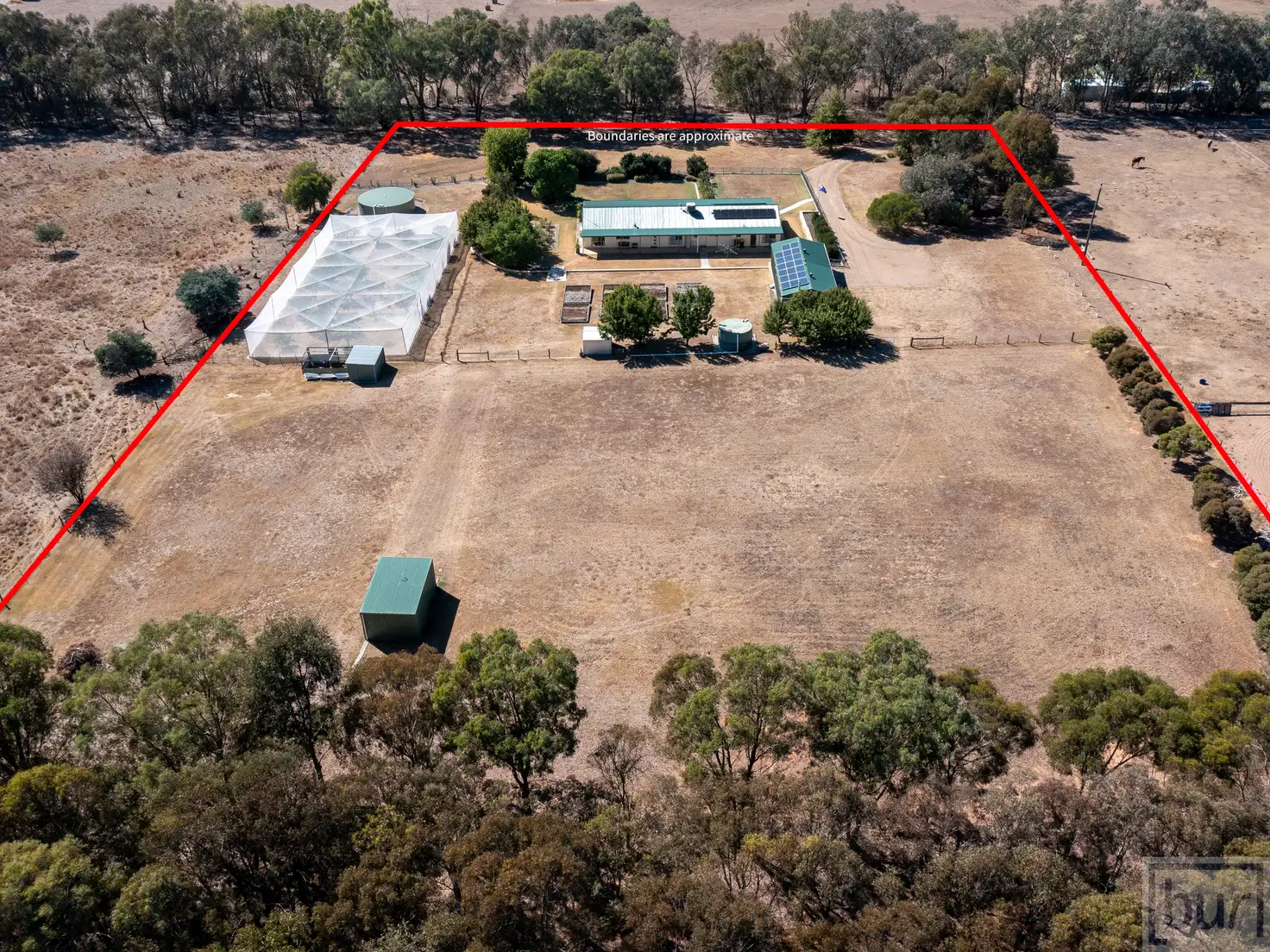 Main view of Homely rural property listing, 72 Elizabeth Street, Gerogery NSW 2642