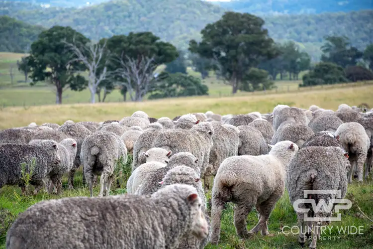 Sixth view of Homely rural property listing, 1783 Tablelands Road, Red Range NSW 2370