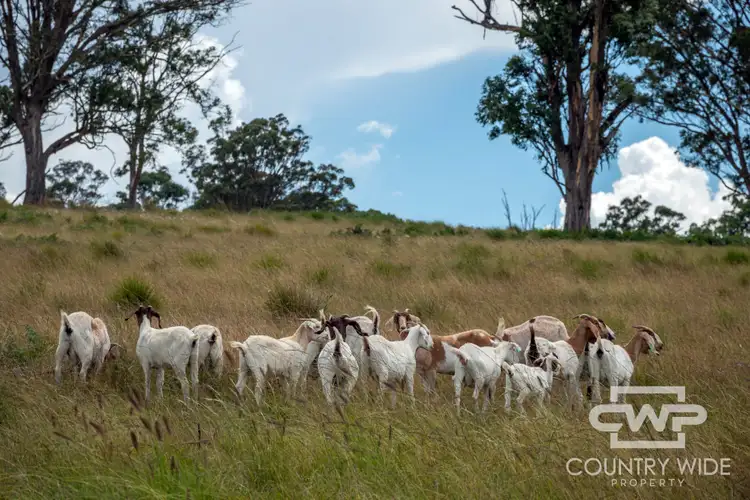 Seventh view of Homely rural property listing, 1783 Tablelands Road, Red Range NSW 2370