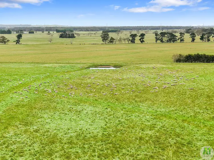 Sixth view of Homely rural property listing, 753 Sinclair Settlement Road, Drumborg VIC 3304