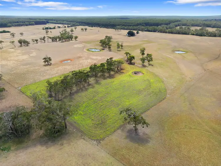 Fifth view of Homely rural property listing, CA23 Carters Road, Drumborg VIC 3304