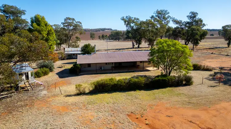 331 Bygoo Road, Ardlethan NSW 2665