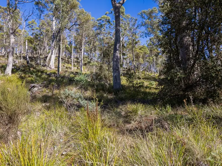 Seventh view of Homely land listing, LOT 1, 2346 Lake Leake Road, Campbell Town TAS 7210