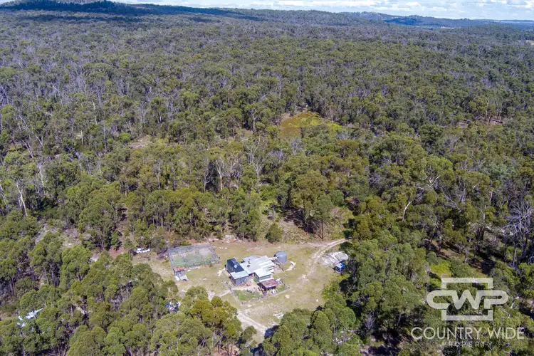 Main view of Homely rural property listing, LOT 2 Carrot Farm Road, Deepwater NSW 2371