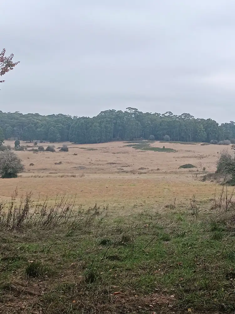 Main view of Homely land listing, 5 Callaghans Lane, Gordon VIC 3345