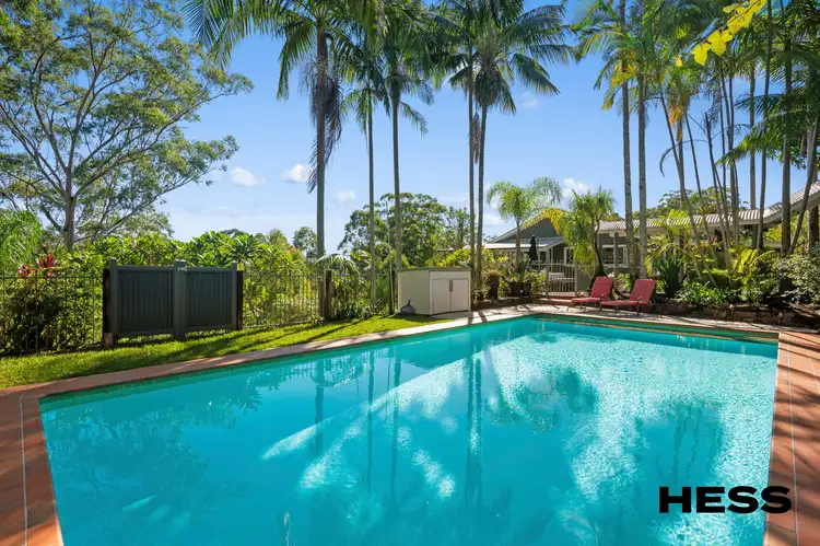 Fifth view of Homely rural property listing, 409C Mount Browne Road, Upper Orara NSW 2450