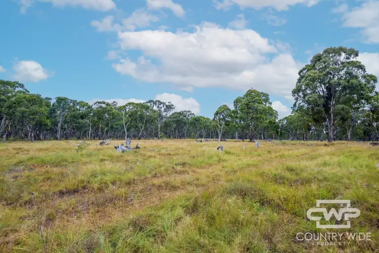 Fifth view of Homely rural property listing, LOT 215 New England Highway, Deepwater NSW 2371