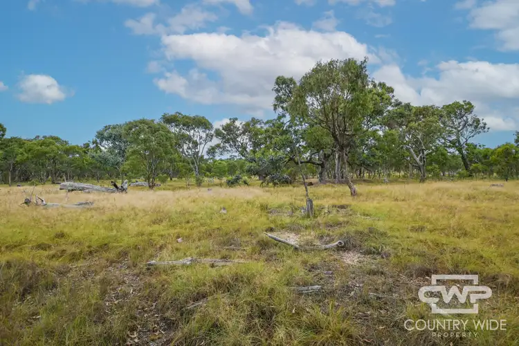 Sixth view of Homely rural property listing, LOT 215 New England Highway, Deepwater NSW 2371