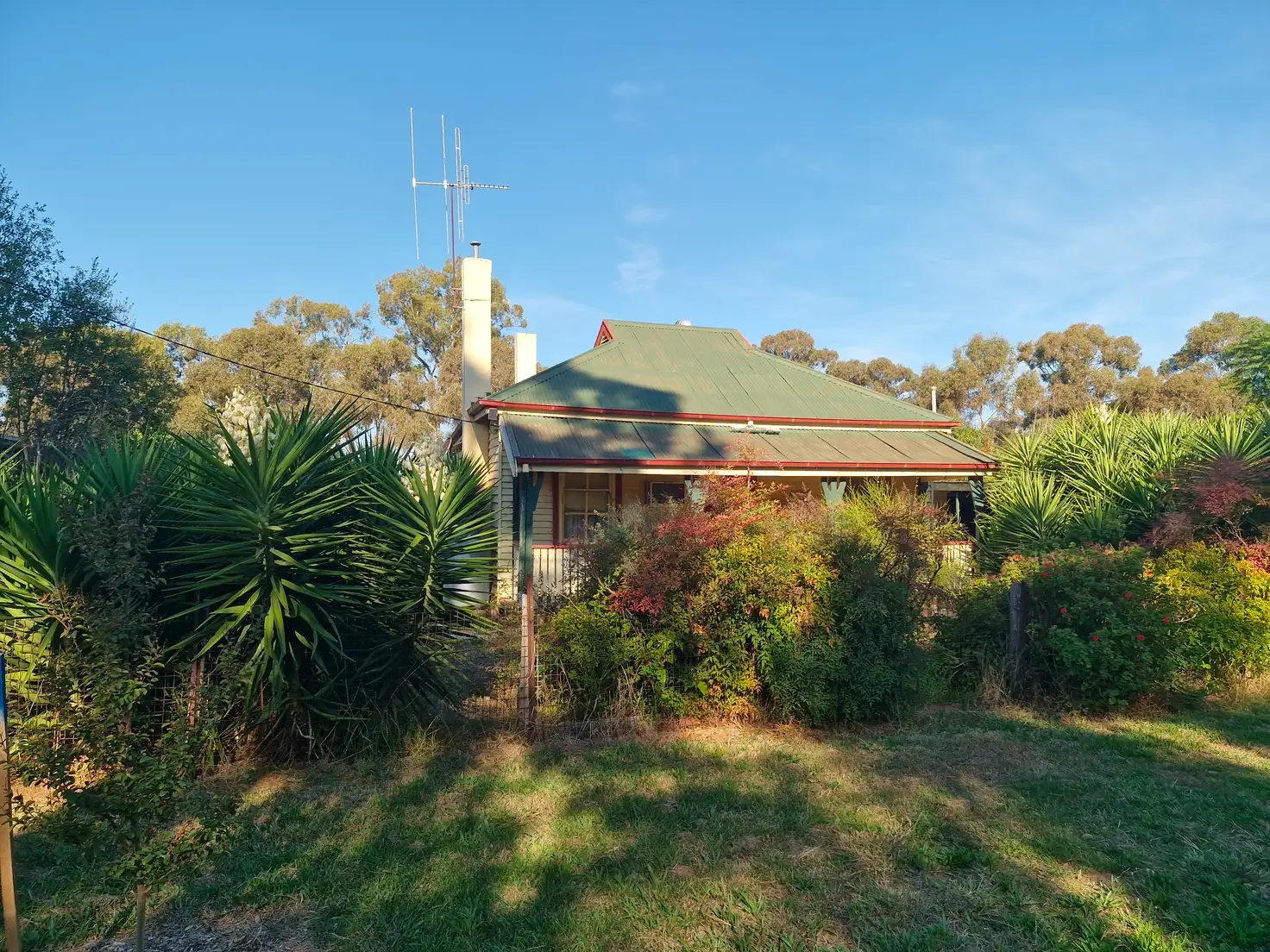 Main view of Homely house listing, 54 Simmie Street, Elmore VIC 3558