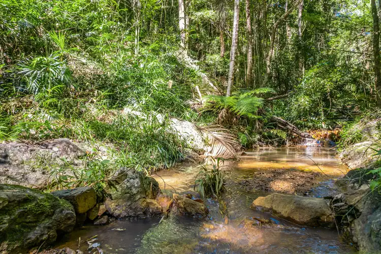 Third view of Homely rural property listing, 1239 Main Arm Road, Main Arm NSW 2482
