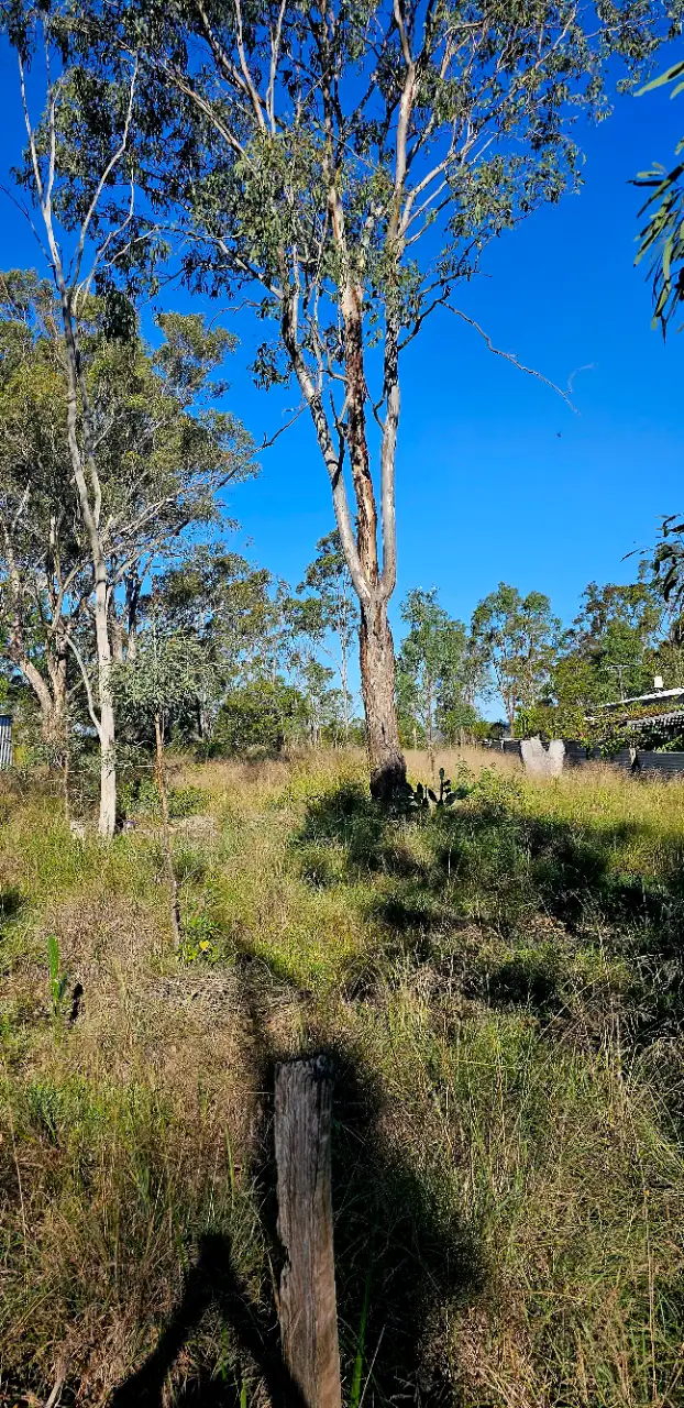 Third view of Homely land listing, 25 POOL STREET, Maidenwell QLD 4615