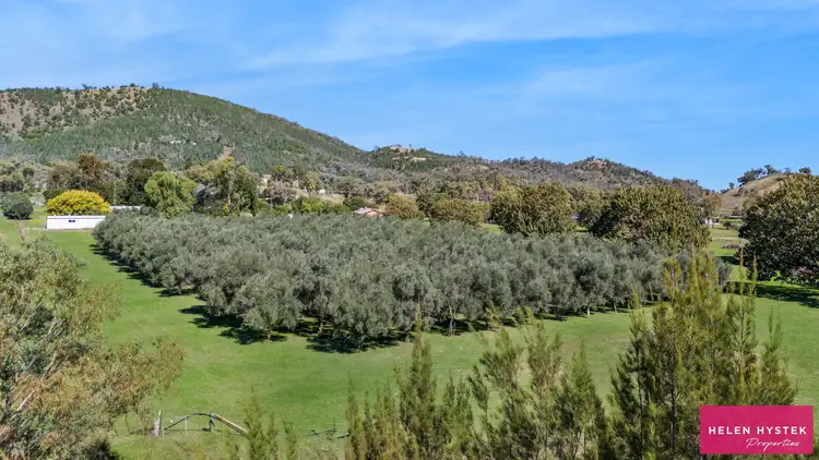 Sixth view of Homely rural property listing, 495 Back Kootingal Road, Nemingha NSW 2340