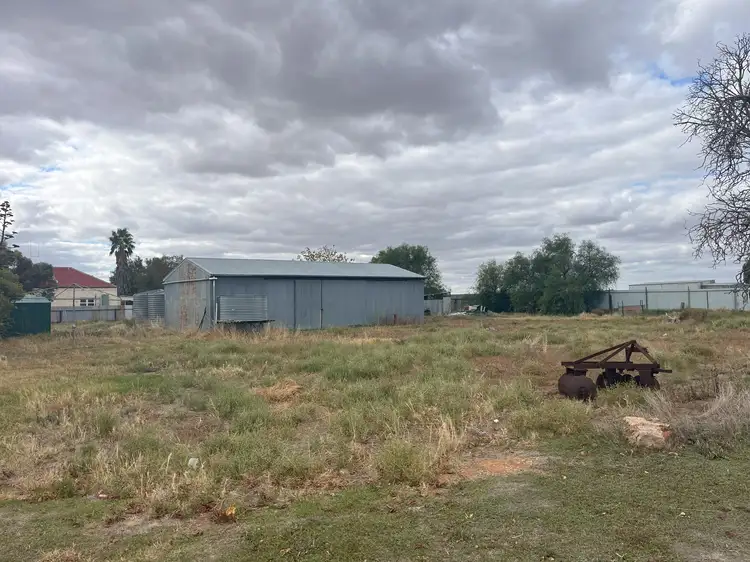 21 HOBAN STREET, Watchem VIC 3482