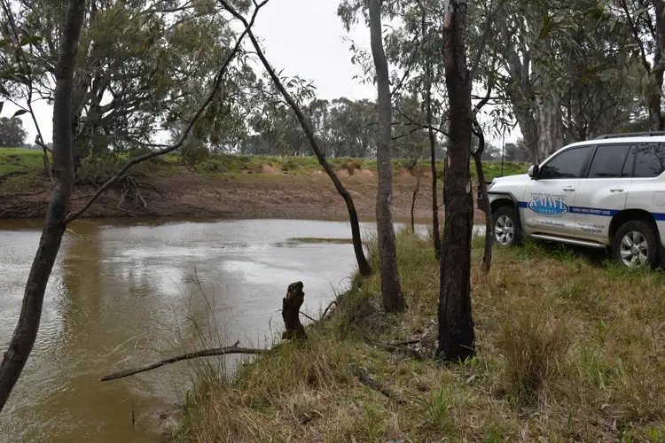 Third view of Homely rural property listing, " The River Block" 1421 Kiacatoo Road, Condobolin NSW 2877